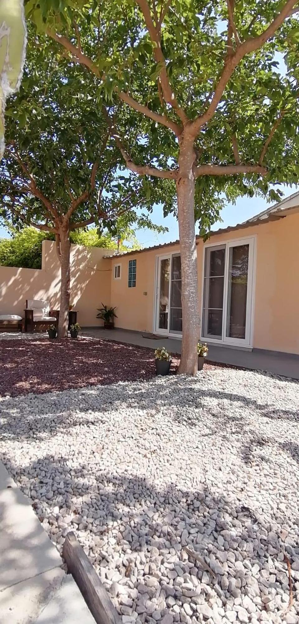 L'Atelier De Paquita - Delta De L'Ebre Apartment Deltebre Exterior photo